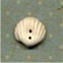 Picture of Shell