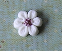 Picture of Little White daisy, Mauve centre