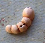 Picture of Worm Brown