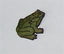 Picture of Frog