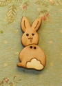 Picture of Bunny