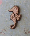 Picture of Seahorse